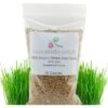 Rose & Branch Organic Wheat Cat Grass Seeds, 16-oz Pouch -Pawfect Care 311128 MAIN. AC SS1800 V1630098100