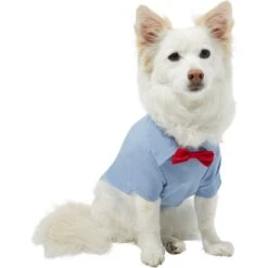 Disney Mickey Mouse Chambray Dog & Cat Shirt -Pawfect Care 311822 PT3. AC SS1800 V1643328480