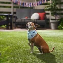 Disney Mickey Mouse Americana Nautical Dog & Cat Bandana -Pawfect Care 311830 PT8. AC SS1800 V1643330378