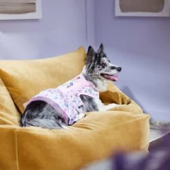 Disney Princesses "Be-YOU-tiful" Dog & Cat Dress -Pawfect Care 311833 PT8. AC SS1800 V1643323941