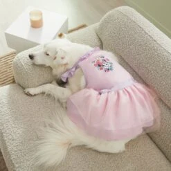 Disney Minnie Mouse "One Of A Kind" Dog & Cat Dress -Pawfect Care 311850 PT8. AC SS1800 V1643325687