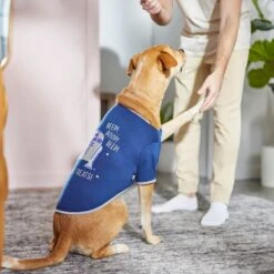 STAR WARS R2-D2 "Beep! Beep! Beep! Feed Me Treats!" Dog & Cat T-shirt -Pawfect Care 311865 PT8. AC SS1800 V1643322827