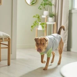 STAR WARS THE MANDALORIAN GROGU "Doesn't Listen" Dog & Cat Raglan T-shirt -Pawfect Care 311884 PT8. AC SS1800 V1643325840