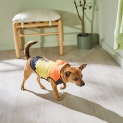 STAR WARS THE MANDALORIAN & GROGU Colorblock Dog & Cat Hoodie -Pawfect Care 311892 PT8. AC SS1800 V1643325712