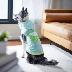 STAR WARS THE MANDALORIAN GROGU "The Force Is Strong" Tie Dye Dog & Cat Hoodie -Pawfect Care 311908 PT8. AC SS1800 V1643329653