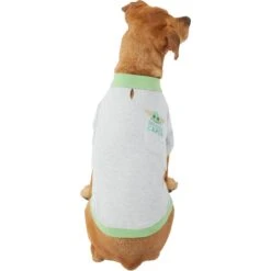 STAR WARS THE MANDALORIAN GROGU "Precious Cargo" Dog & Cat Polo -Pawfect Care 311917 PT3. AC SS1800 V1643327786