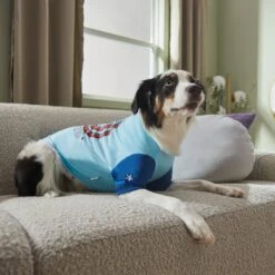 Marvel 's Captain America "Hero Vibes" Dog & Cat T-shirt -Pawfect Care 311925 PT8. AC SS1800 V1643326654