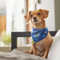 Pixar Monster's Inc "Monsters Make The Best Friends" Dog & Cat Bandana -Pawfect Care 311940 PT8. AC SS1800 V1643330938