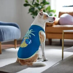 Frisco Pineapple Guy Dog & Cat T-Shirt -Pawfect Care 312040 PT8. AC SS1800 V1644466024