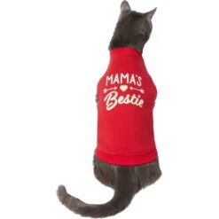 Frisco Mama's Bestie Dog & Cat T-Shirt -Pawfect Care 312056 PT2. AC SS1800 V1644425822