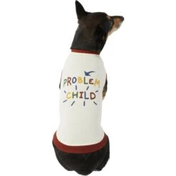Frisco Problem Child Dog & Cat T-Shirt -Pawfect Care 312064 PT3. AC SS1800 V1673303532