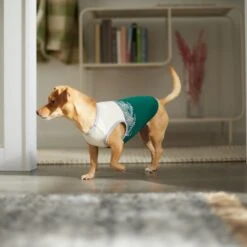 Frisco Tropical Palm Dog & Cat T-Shirt -Pawfect Care 312072 PT8. AC SS1800 V1644425897