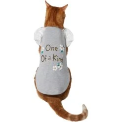 Frisco One Of A Kind Dog & Cat T-Shirt -Pawfect Care 312080 PT2. AC SS1800 V1644424427