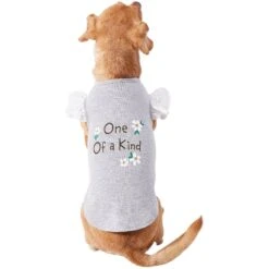 Frisco One Of A Kind Dog & Cat T-Shirt -Pawfect Care 312080 PT3. AC SS1800 V1673303002