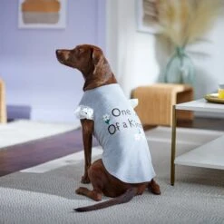 Frisco One Of A Kind Dog & Cat T-Shirt -Pawfect Care 312080 PT5. AC SS1800 V1673304060