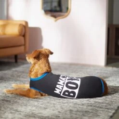 Frisco Mama's Boy Dog & Cat T-Shirt -Pawfect Care 312088 PT5. AC SS1800 V1673361675