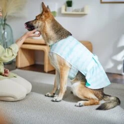 Frisco Green Tie Dye Dog & Cat Dress -Pawfect Care 312104 PT8. AC SS1800 V1644424641