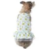 Frisco Sunflower Gingham Dog & Cat Dress -Pawfect Care 312120 MAIN. AC SS1800 V1644423431