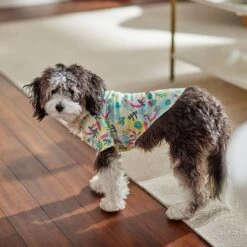 Frisco Flamingo Camp Dog & Cat Shirt -Pawfect Care 312176 PT7. AC SS1800 V1673361358