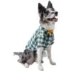 Frisco Boho Plaid Dog & Cat Shirt -Pawfect Care 312184 MAIN. AC SS1800 V1644524485