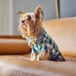 Frisco Boho Plaid Dog & Cat Shirt -Pawfect Care 312184 PT8. AC SS1800 V1644524330