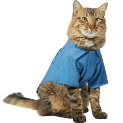 Frisco Chambray Pineapple Dog & Cat Shirt -Pawfect Care 312192 PT2. AC SS1800 V1644528879