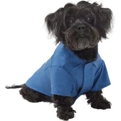 Frisco Chambray Pineapple Dog & Cat Shirt -Pawfect Care 312192 PT3. AC SS1800 V1644526090