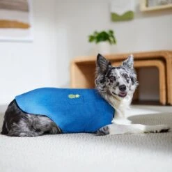 Frisco Chambray Pineapple Dog & Cat Shirt -Pawfect Care 312192 PT8. AC SS1800 V1644526681