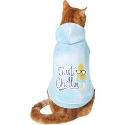Frisco Just Chillin Dog & Cat Hoodie -Pawfect Care 312233 PT2. AC SS1800 V1644879530