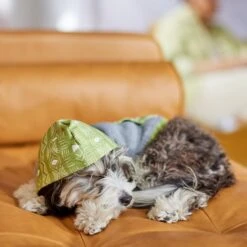 Frisco Green Southwest Dog & Cat Hoodie -Pawfect Care 312248 PT8. AC SS1800 V1644883113