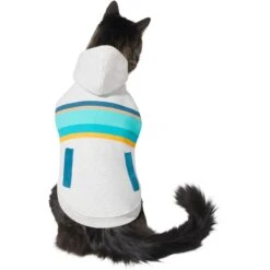 Frisco Striped Dog & Cat Hoodie -Pawfect Care 312265 PT2. AC SS1800 V1644881185