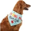 Frisco Living My Best Life Dog & Cat Bandana -Pawfect Care 312288 MAIN. AC SS1800 V1644881351