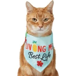 Frisco Living My Best Life Dog & Cat Bandana -Pawfect Care 312288 PT2. AC SS1800 V1644884916