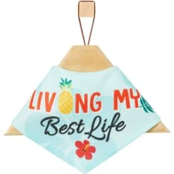 Frisco Living My Best Life Dog & Cat Bandana -Pawfect Care 312288 PT3. AC SS1800 V1644883285
