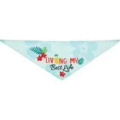 Frisco Living My Best Life Dog & Cat Bandana -Pawfect Care 312288 PT4. AC SS1800 V1644882738