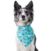 Frisco Spring Floral Dog & Cat Bandana -Pawfect Care 312294 MAIN. AC SS1800 V1644879397
