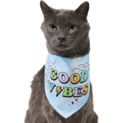 Frisco Good Vibes Dog & Cat Bandana -Pawfect Care 312297 PT2. AC SS1800 V1644885749