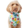 Frisco Hawaiian Pineapple Dog & Cat Bandana -Pawfect Care 312300 MAIN. AC SS1800 V1644885441