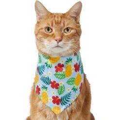Frisco Hawaiian Pineapple Dog & Cat Bandana -Pawfect Care 312300 PT2. AC SS1800 V1644878643