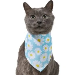 Frisco Daisy Dog & Cat Bandana -Pawfect Care 312303 PT2. AC SS1800 V1644883588