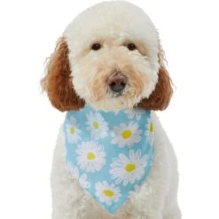 Frisco Daisy Dog & Cat Bandana -Pawfect Care 312303 PT3. AC SS1800 V1673302704