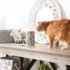 Bone Dry Ceramic Meow Cat Treat Canister -Pawfect Care 313400 PT4. AC SS1800 V1631765581