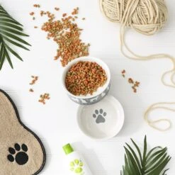 Bone Dry Meow Set Cat Bowl -Pawfect Care 313413 PT6. AC SS1800 V1631764117