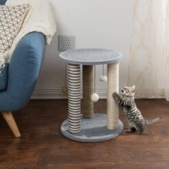 Pet Adobe 19.25-in Polyester Cat Scratching Post With Toys -Pawfect Care 314975 PT3. AC SS1800 V1626390432