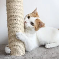 Pet Adobe 19.25-in Polyester Cat Scratching Post With Toys -Pawfect Care 314975 PT4. AC SS1800 V1626390375