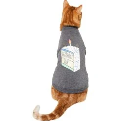 Frisco Birthday Pup Dog & Cat T-Shirt -Pawfect Care 315076 PT2. AC SS1800 V1646432513