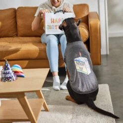 Frisco Birthday Pup Dog & Cat T-Shirt -Pawfect Care 315076 PT8. AC SS1800 V1646438210