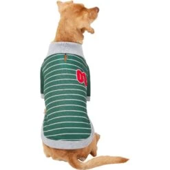 Frisco Green Rugby Dog & Cat Polo Shirt -Pawfect Care 315084 PT3. AC SS1800 V1646442228