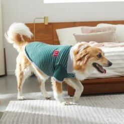 Frisco Green Rugby Dog & Cat Polo Shirt -Pawfect Care 315084 PT8. AC SS1800 V1646436749