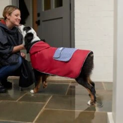 Frisco Lightweight Red Reversible Packable Dog Raincoat -Pawfect Care 315109 PT8. AC SS1800 V1646437779